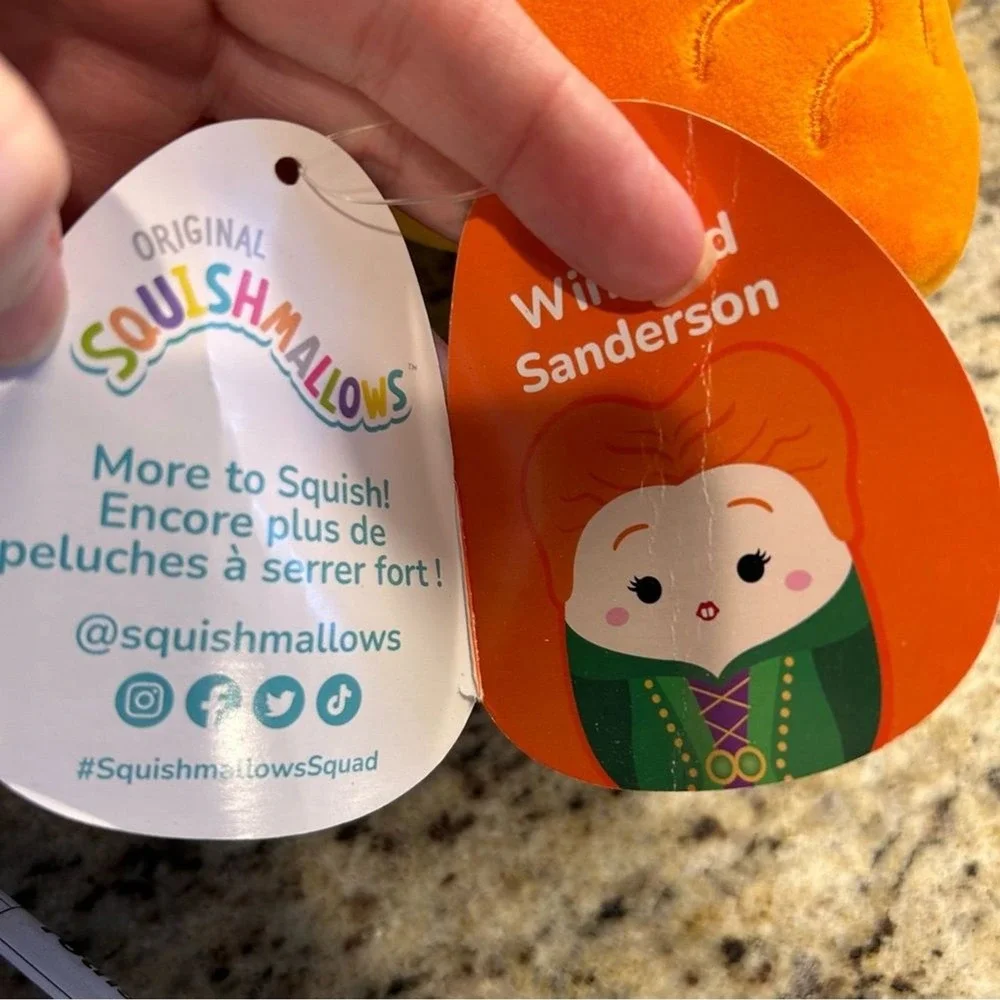 Squishmallows winifred sanderson