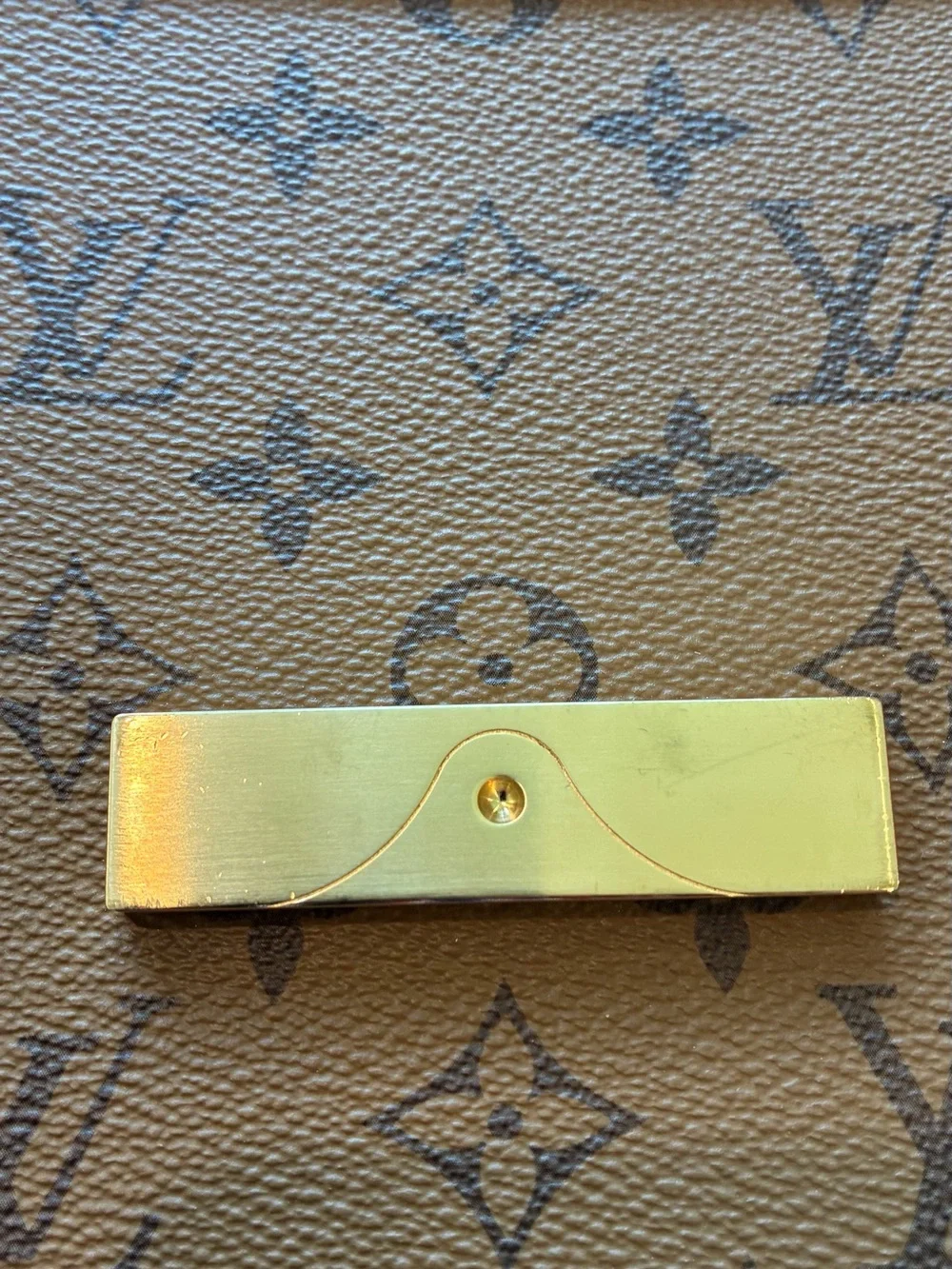 Louis Vuitton this louis