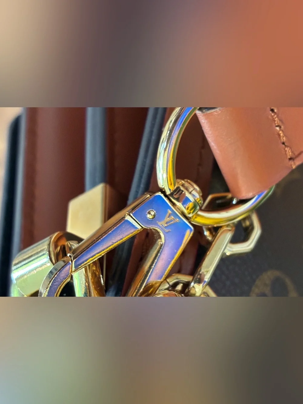 Louis Vuitton this louis