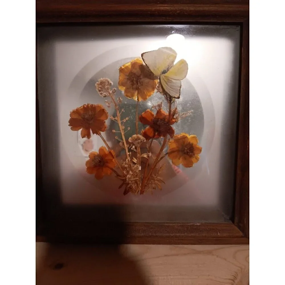 Vintage MCM Frosted Glass Mirror Framed Dried Flower And Butterfly Arrangement