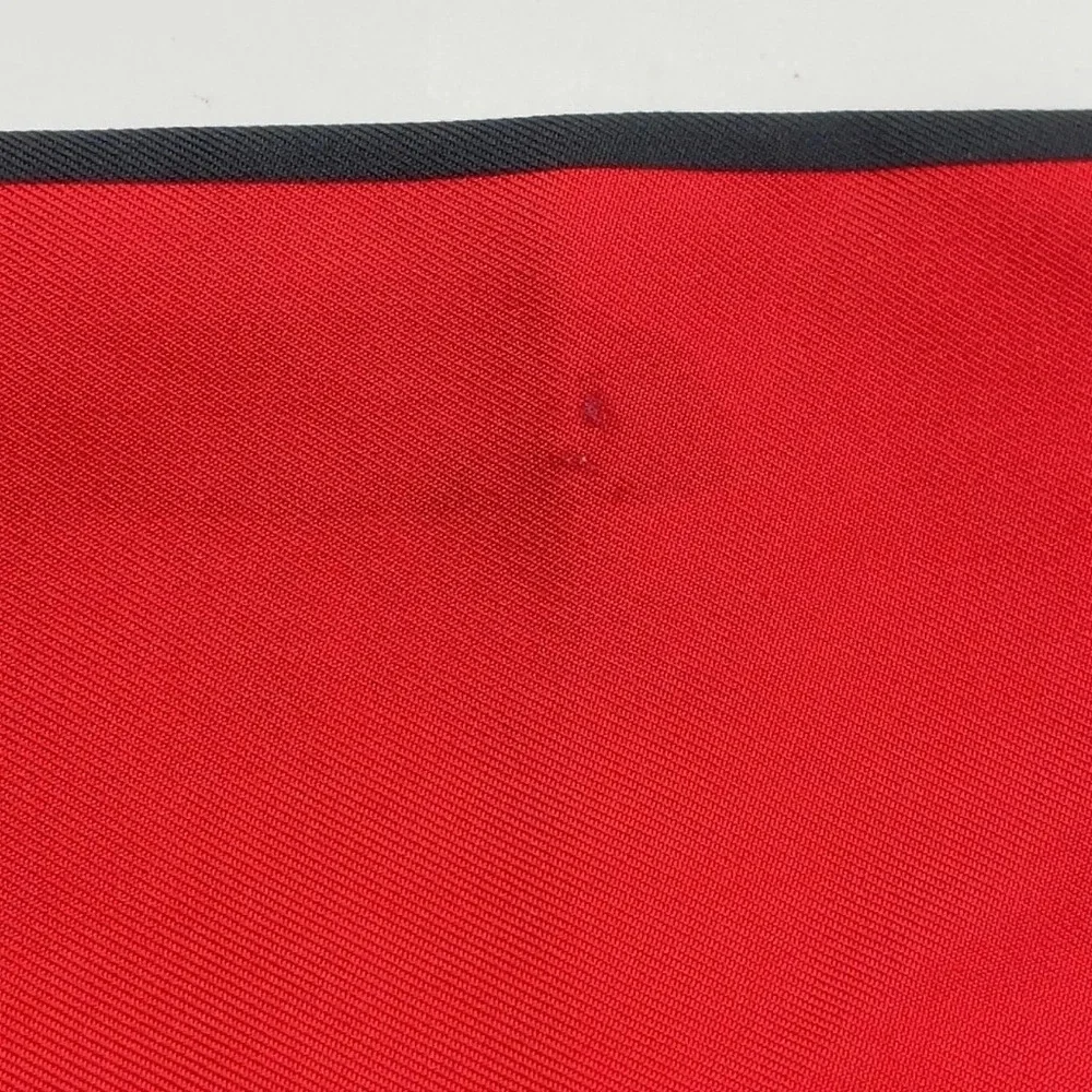 Louis Vuitton brand louis