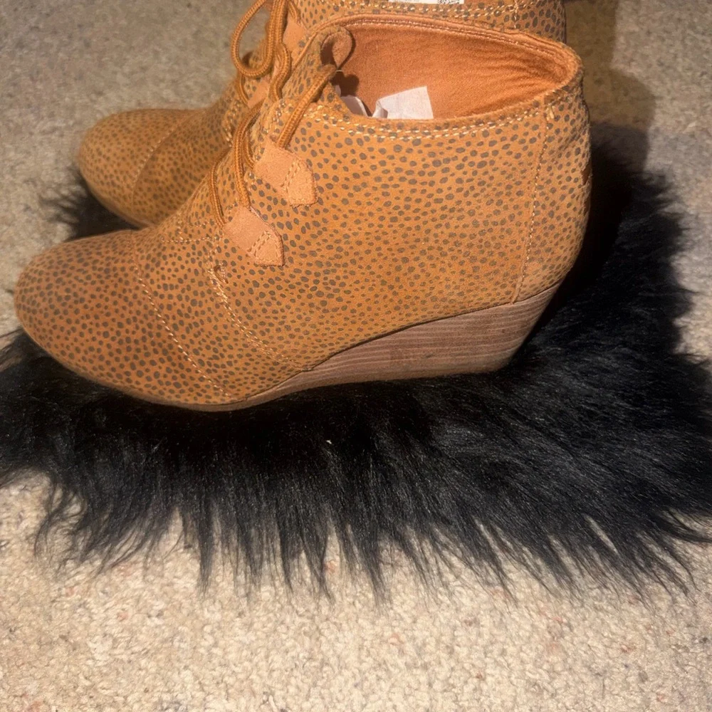 Toms kala desert