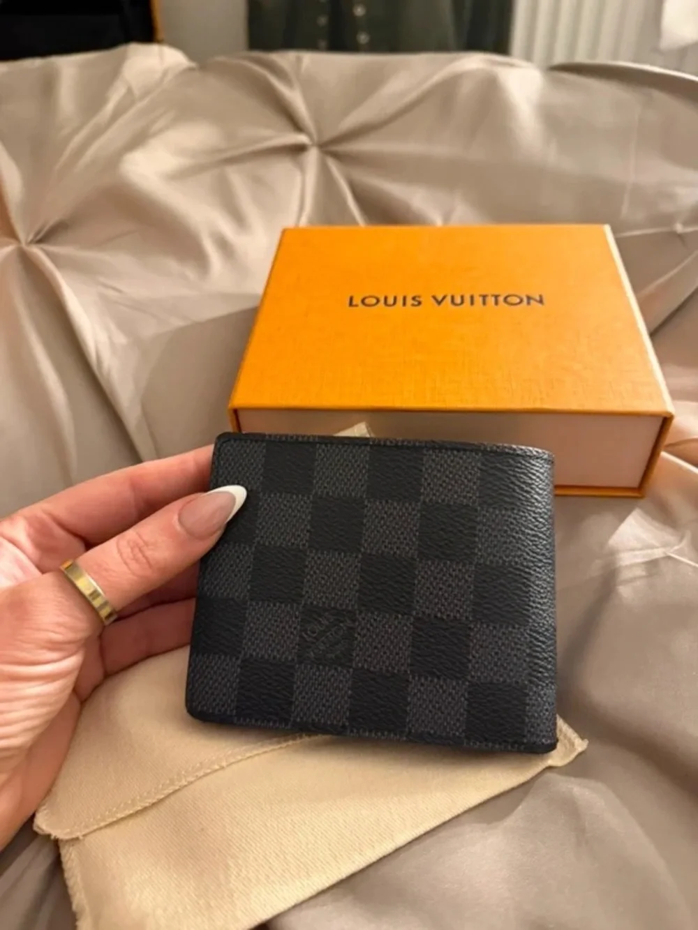Louis Vuitton authentic louis