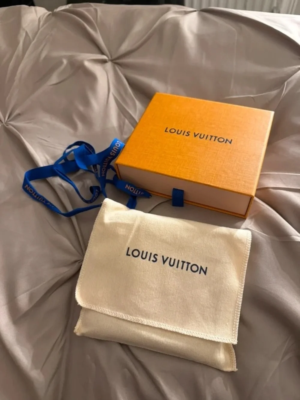 Louis Vuitton authentic louis
