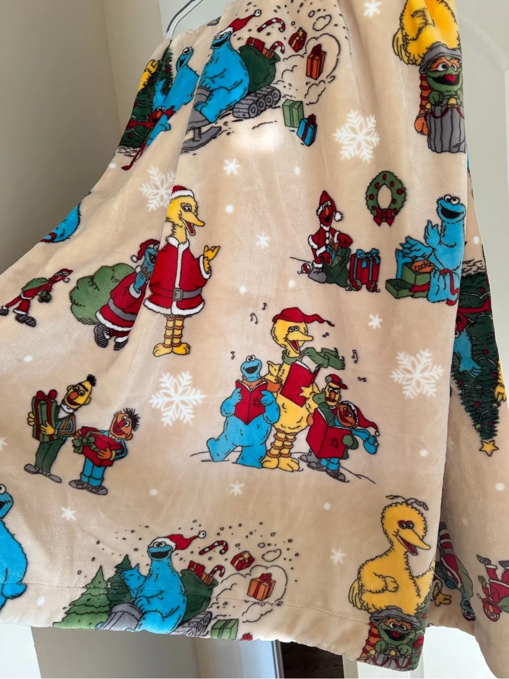 Sesame Street flash sale