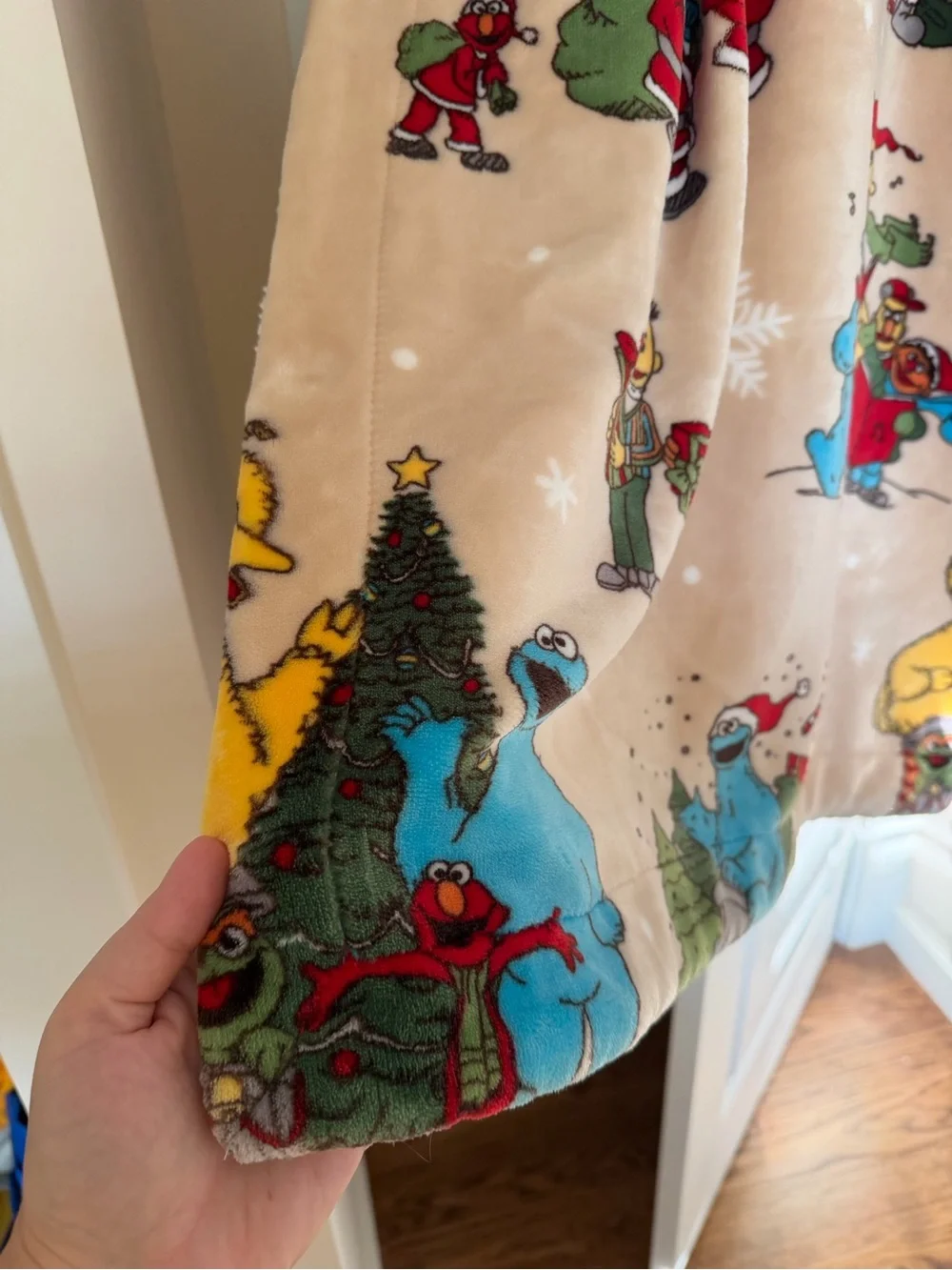 Sesame Street flash sale