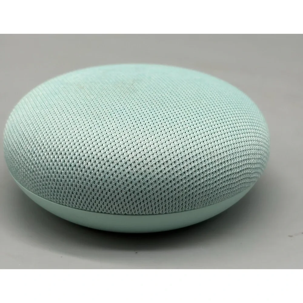 google includes speaker