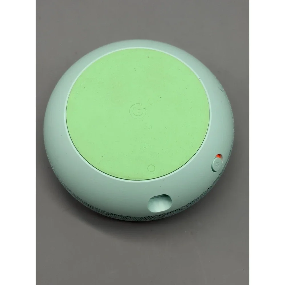 google includes speaker