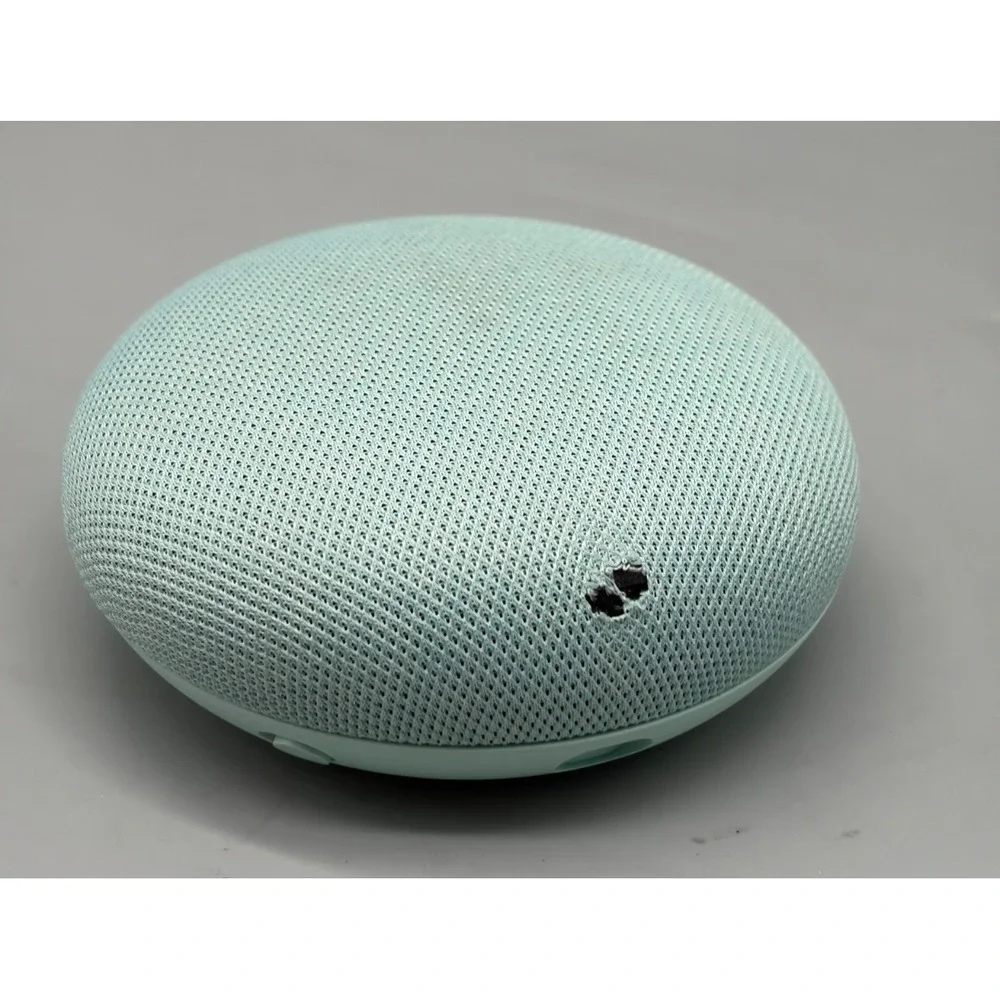 google includes speaker