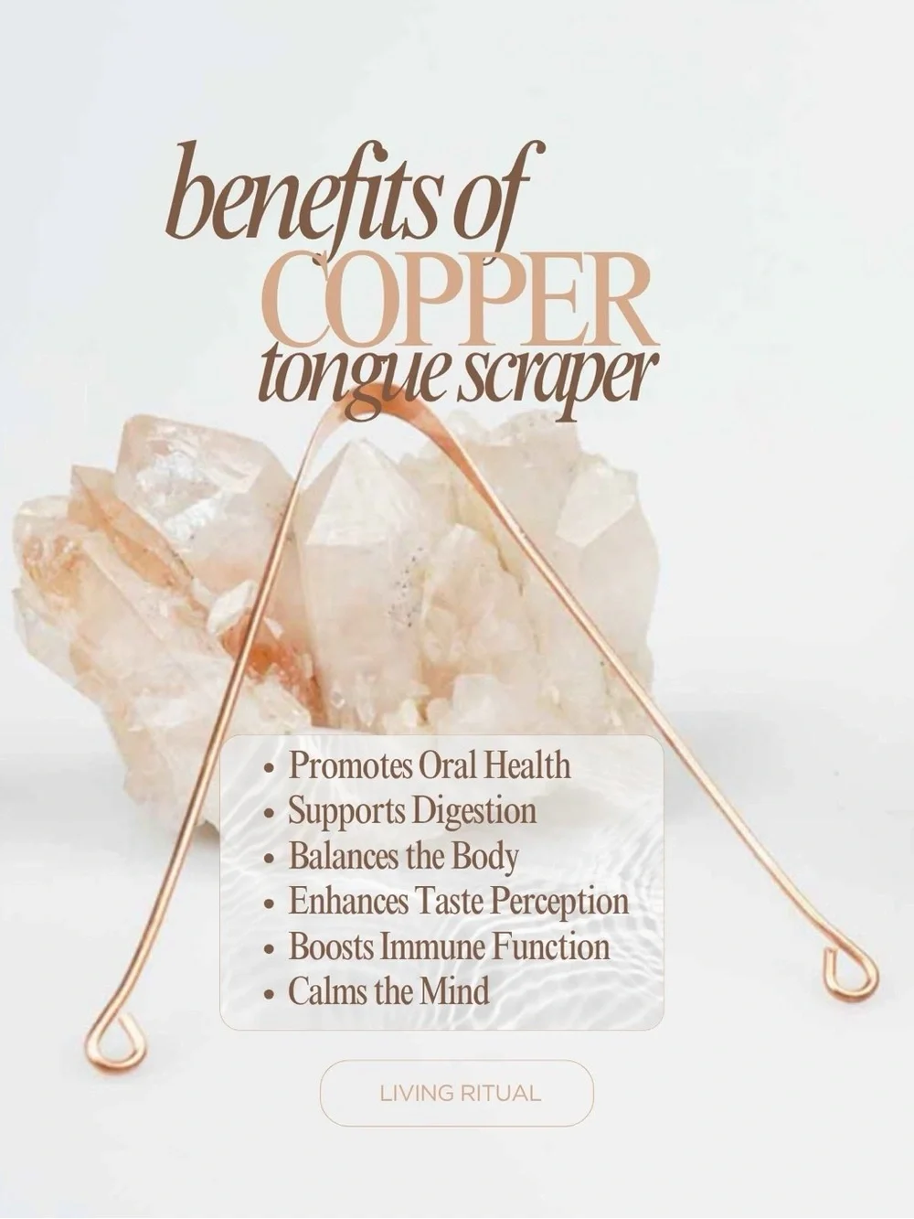 Copper Dinacharya Set · Neti Pot · Tongue Scraper · Jala Neti · Living Ritual