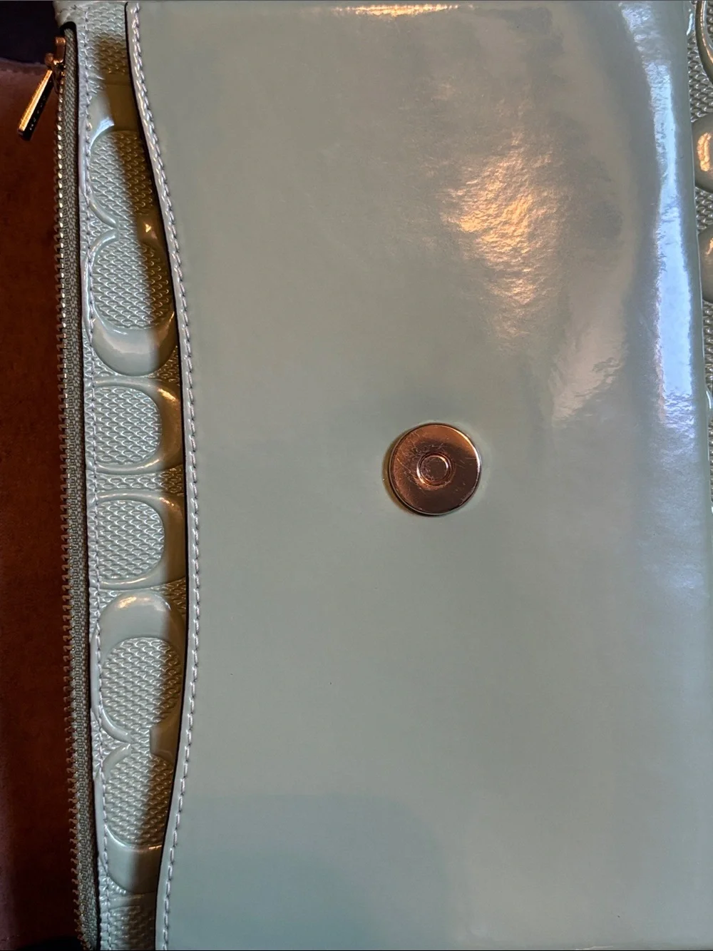 Coach pearlized signature