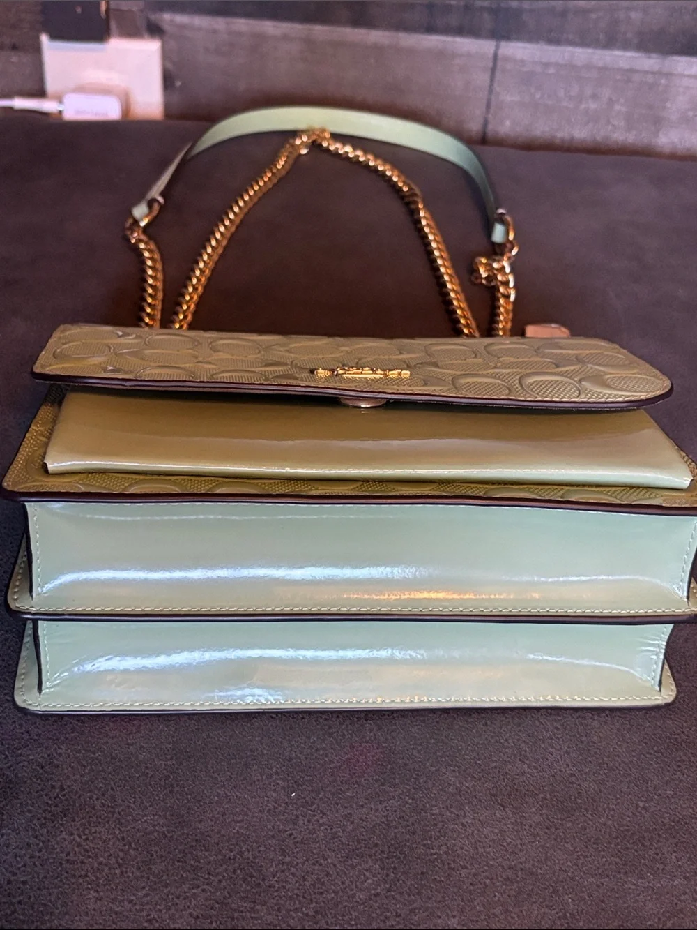 Coach pearlized signature