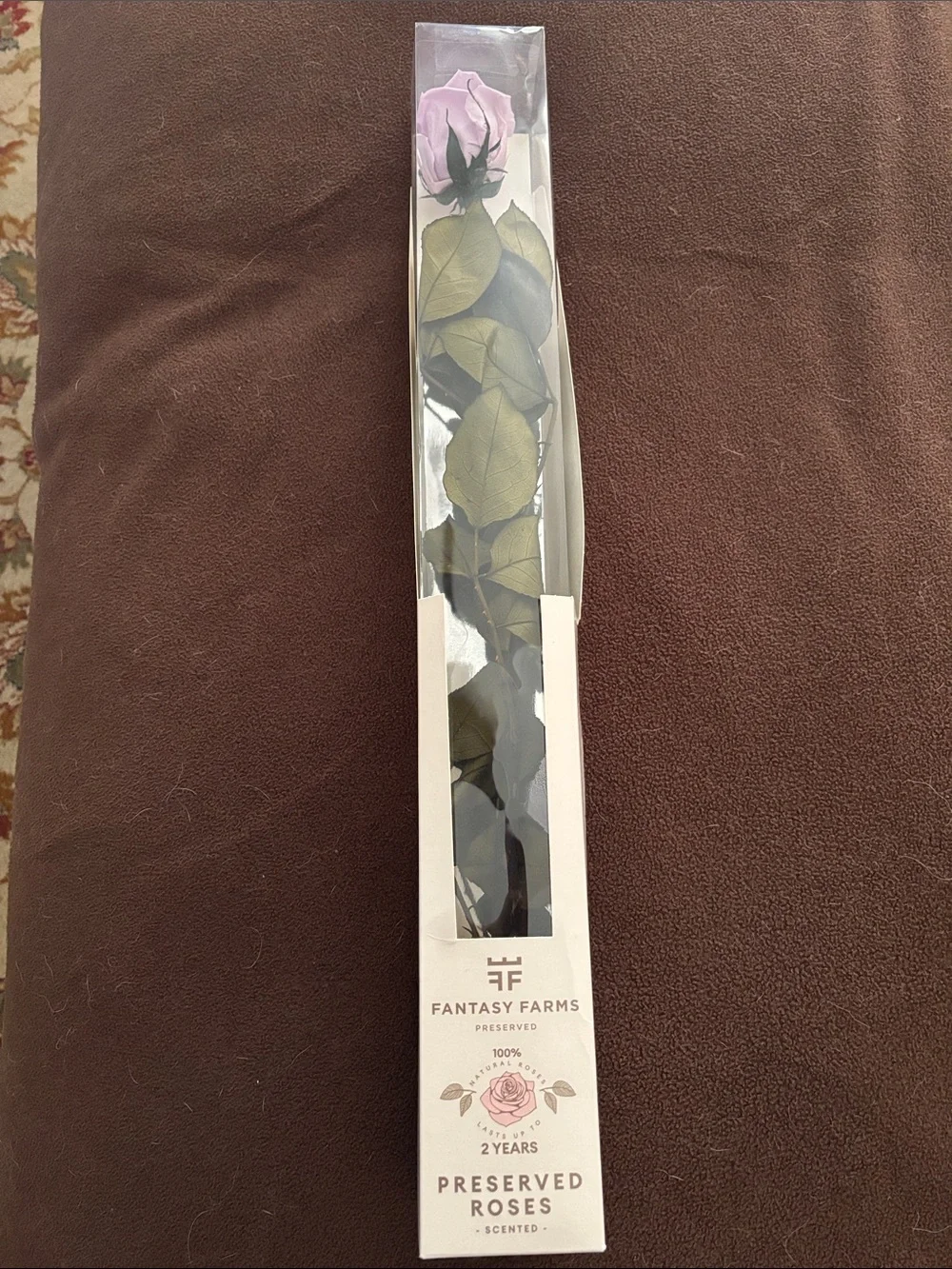 NIB Preserved lavender Rose - Long Stem fantasy farms