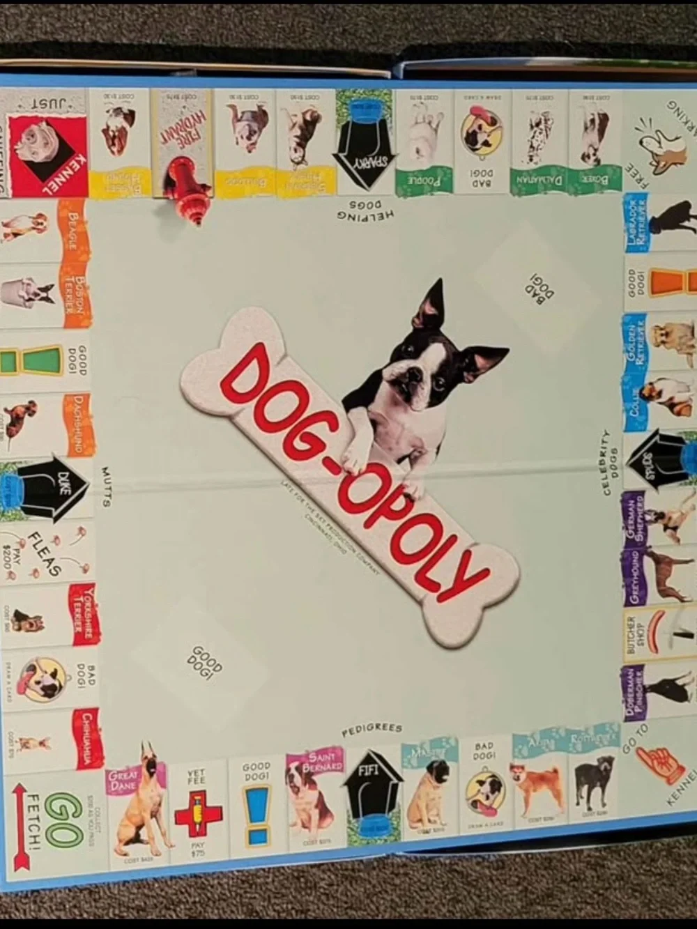 N/A fun dog