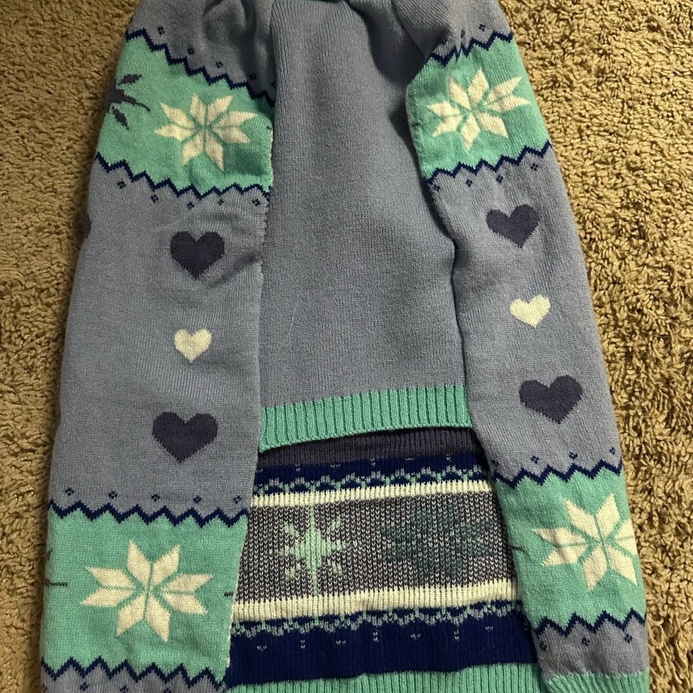 Disney soft dog