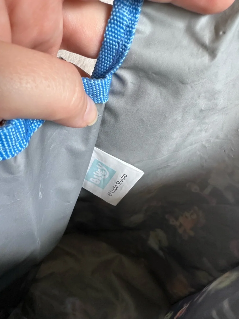 Bluey brand disney