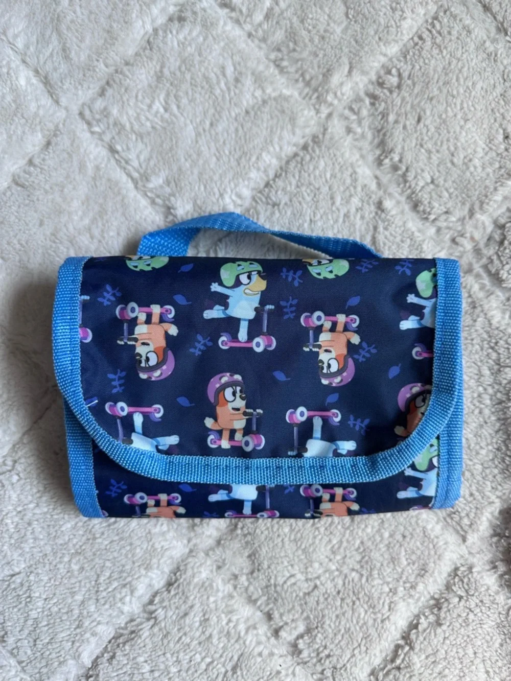 Bluey brand disney