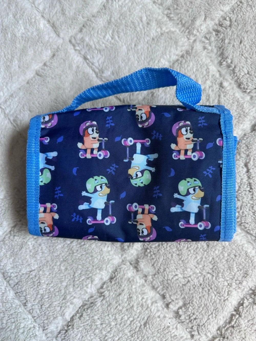 Bluey brand disney