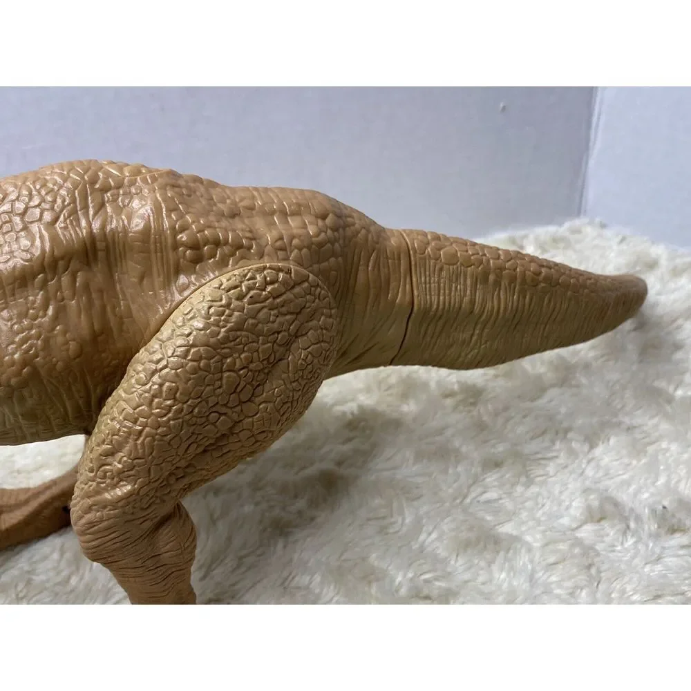 N/A jaw tyrannosaurus
