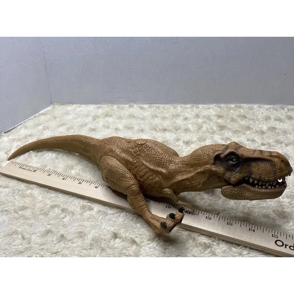 N/A rex dinosaur teeth