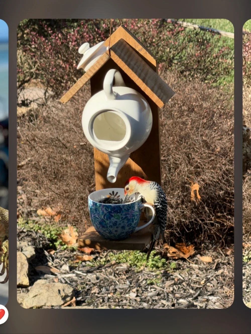 Rustic Wooden Handmade Bird Feeder Teapot Tea For All