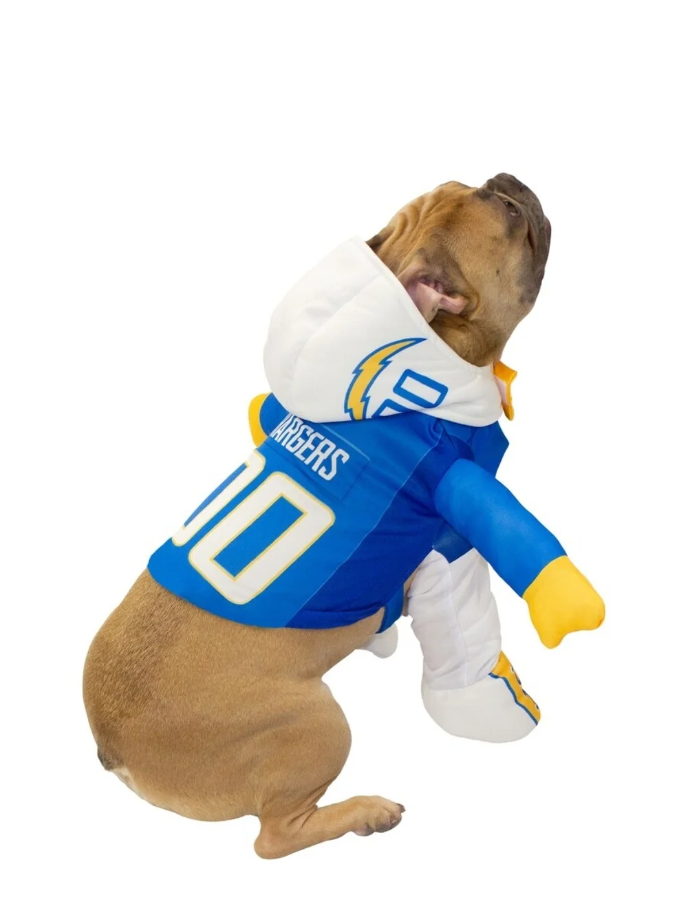 NFL official los