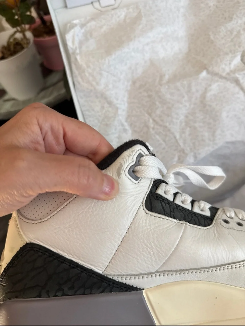 Nike air jordan