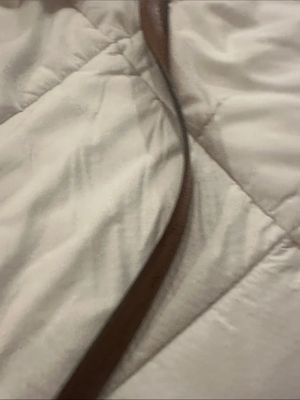 Cole Haan cole haansleek