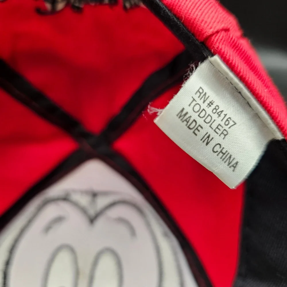 Disney origin souvenir winter