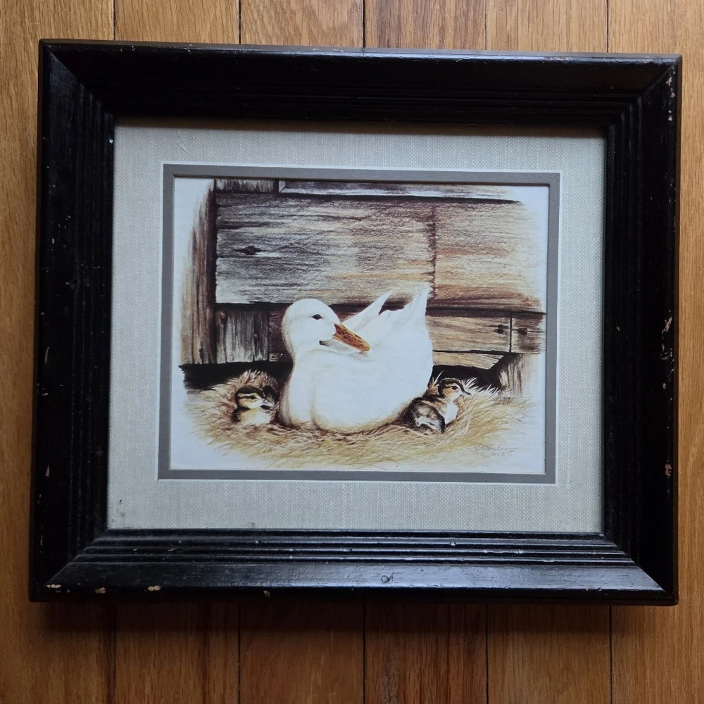 Vintagw‎ Black Framed Duck Art Print
