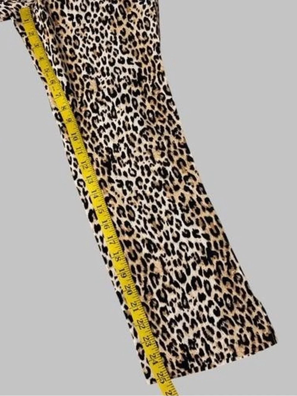 Zara Leopard Print Pants