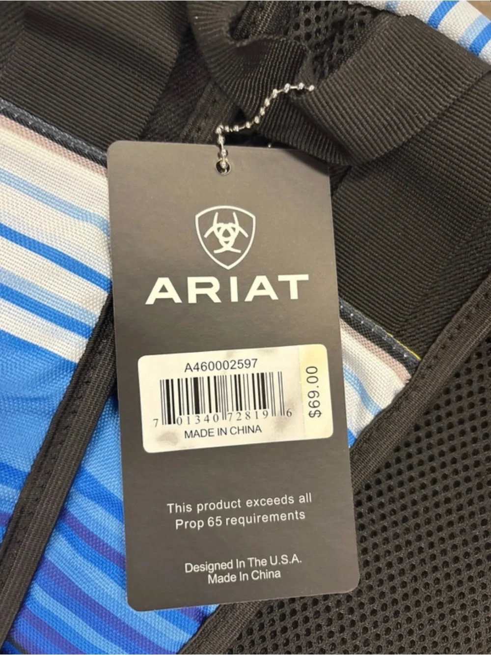 Ariat vibrant striped