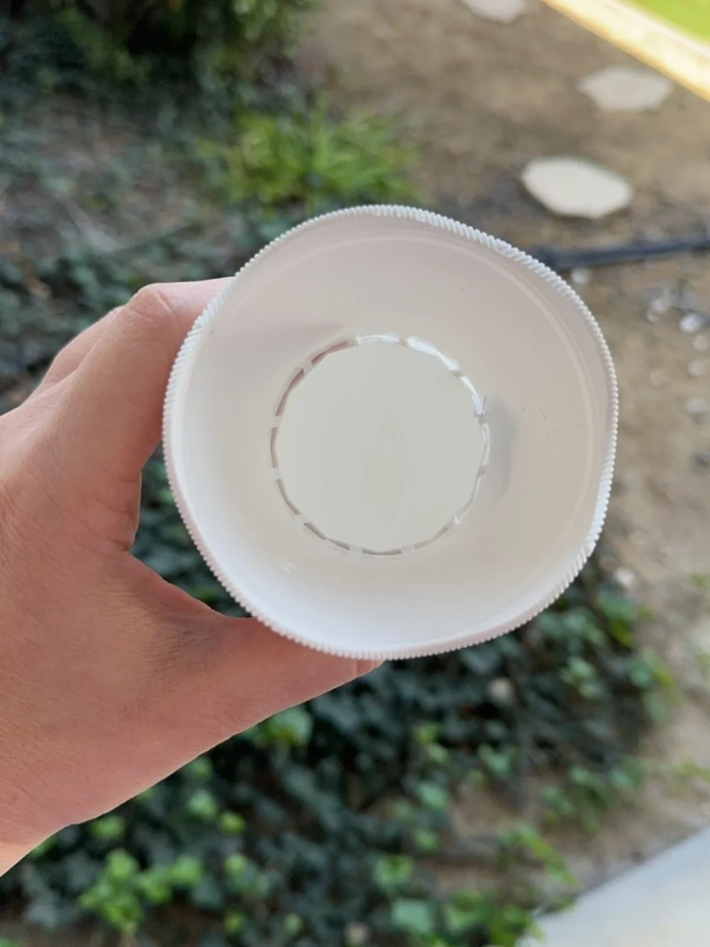 Hand Crafted vase pure