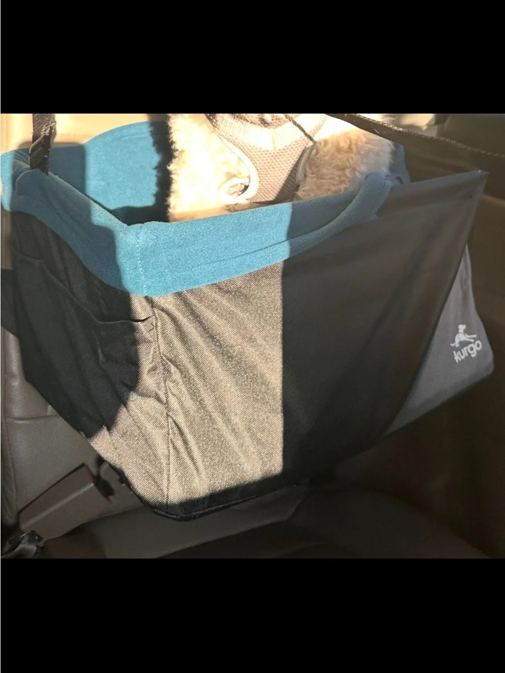 Kurgo sturdy booster