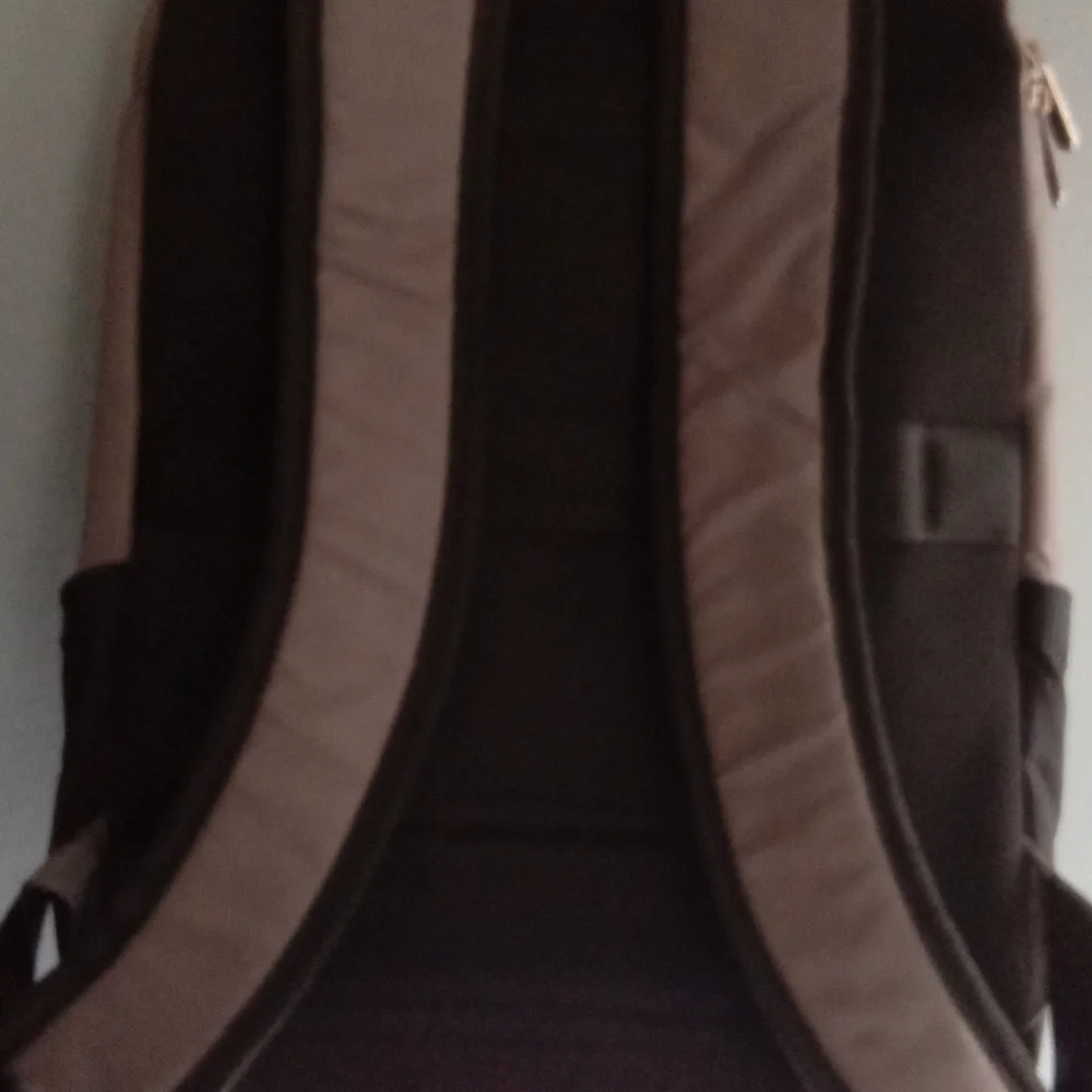 Targus features carry main