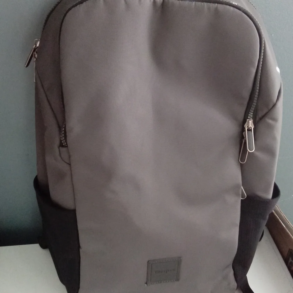 Targus or convenient padded