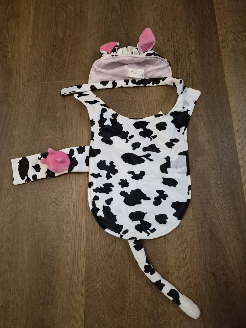 N/A adorable cow