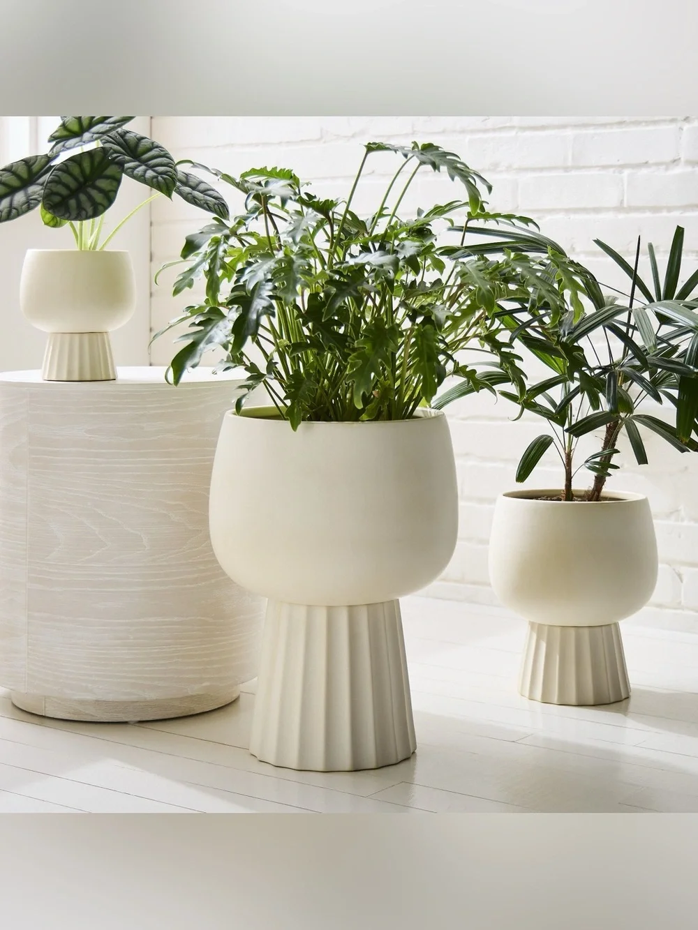 West Elm give your