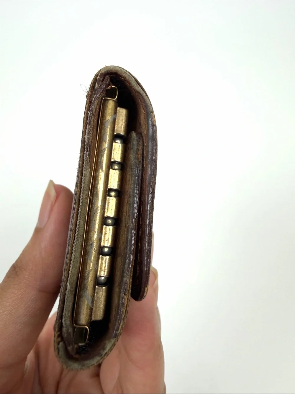 Louis Vuitton authentic louis