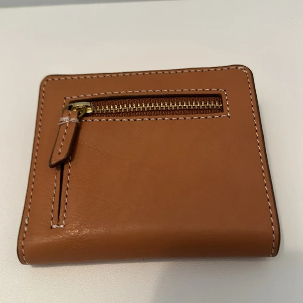 Fossil color compartments silhouette