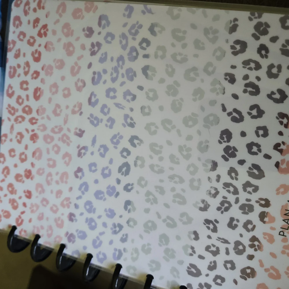 The Happy Planner monthly dividers