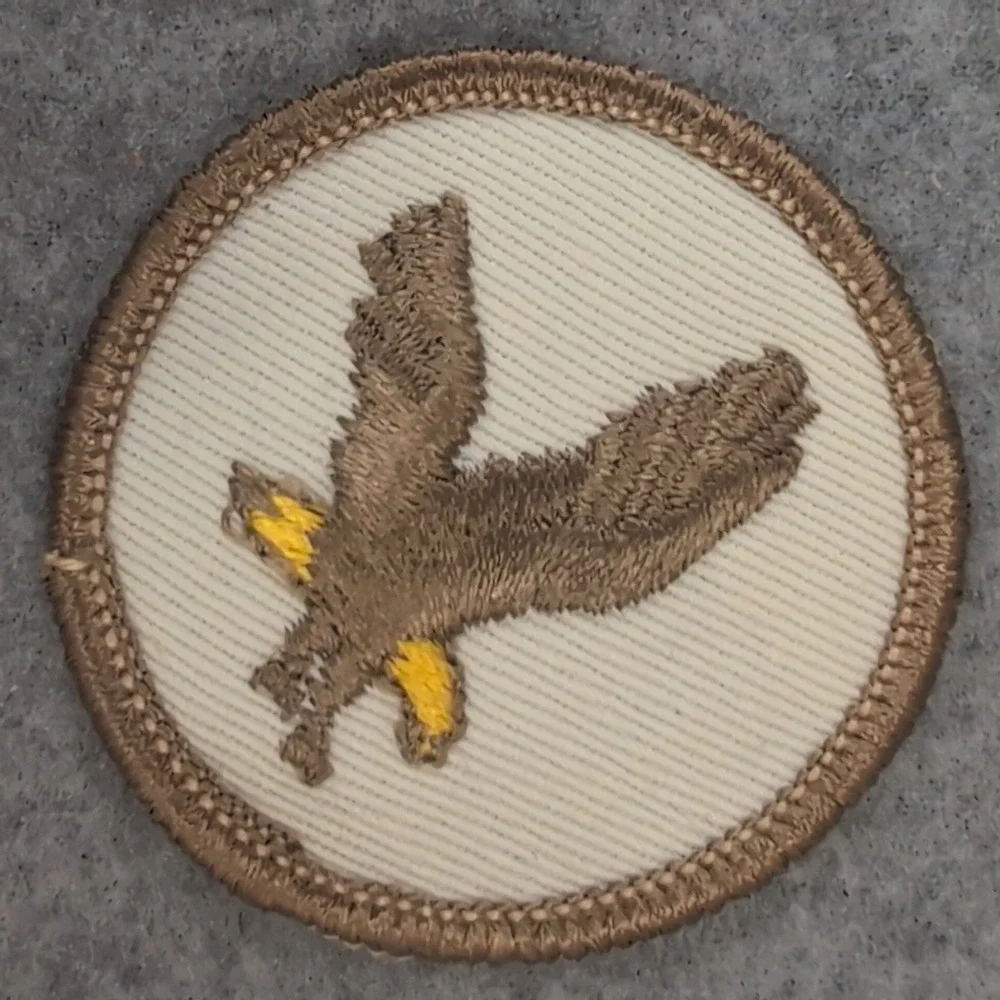 Embroidered Eagle Patch Badge Flying Design‎ Circle Applique Apparel Accessory