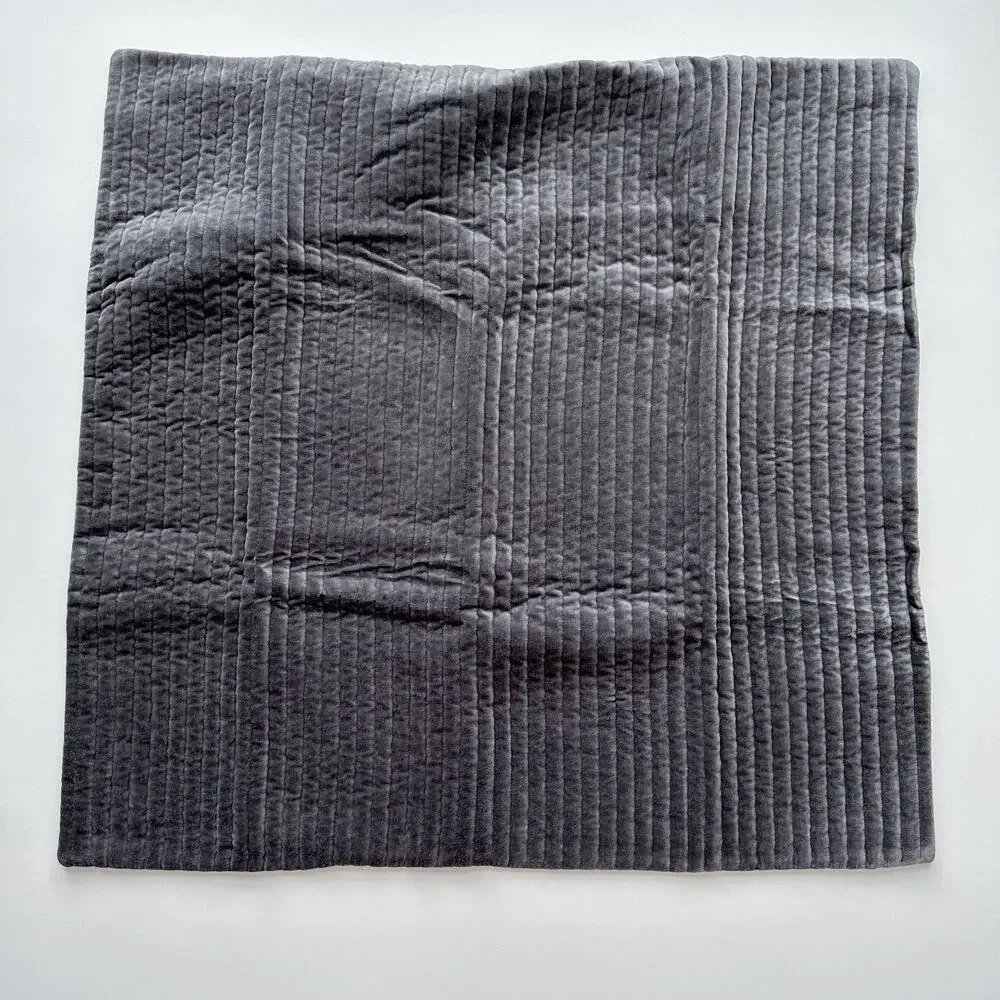 Restoration Hardware Tate Velvet Channel Euro Sham