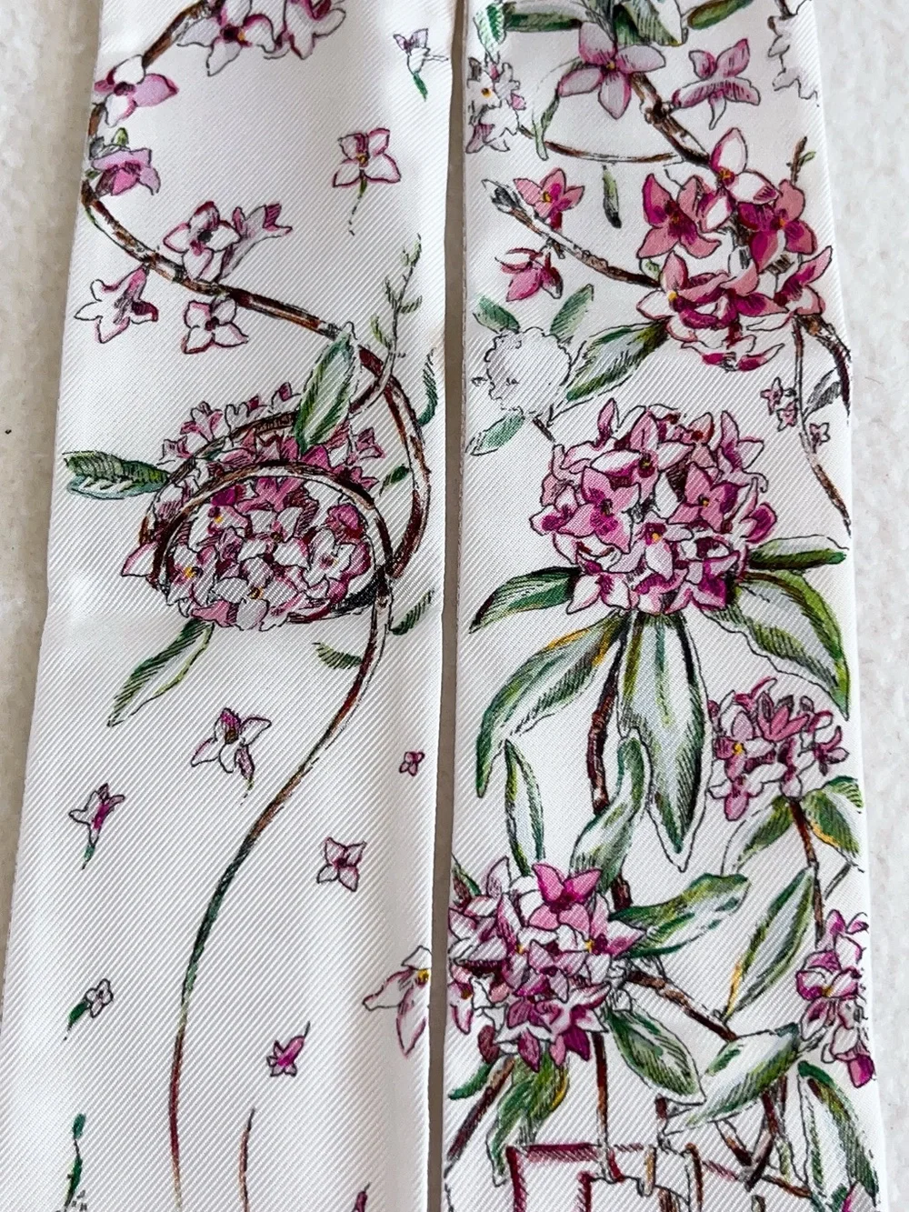 Dior Jardin D’hiver Mitzah Silk Scarf