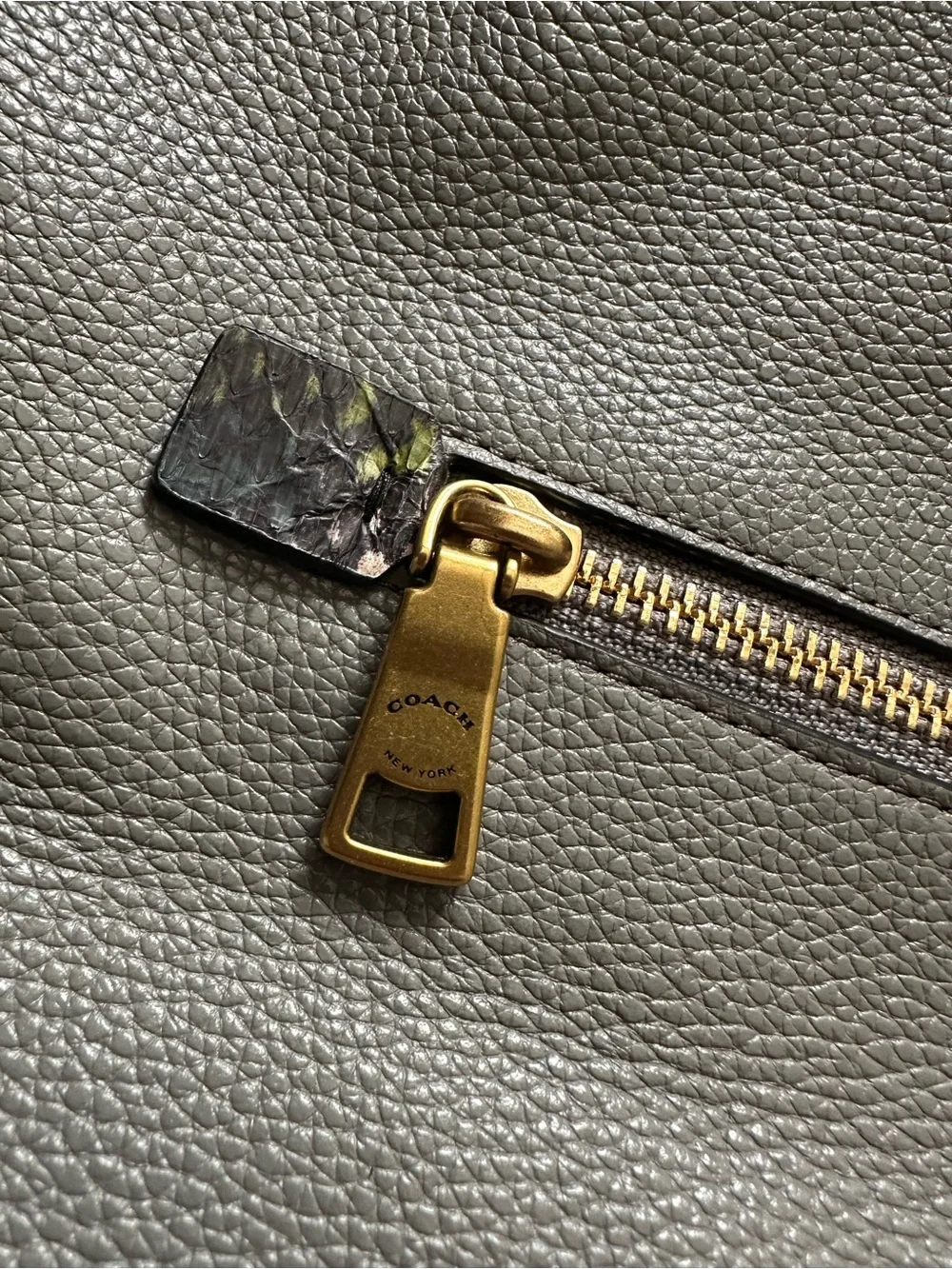 Coach polished pebble