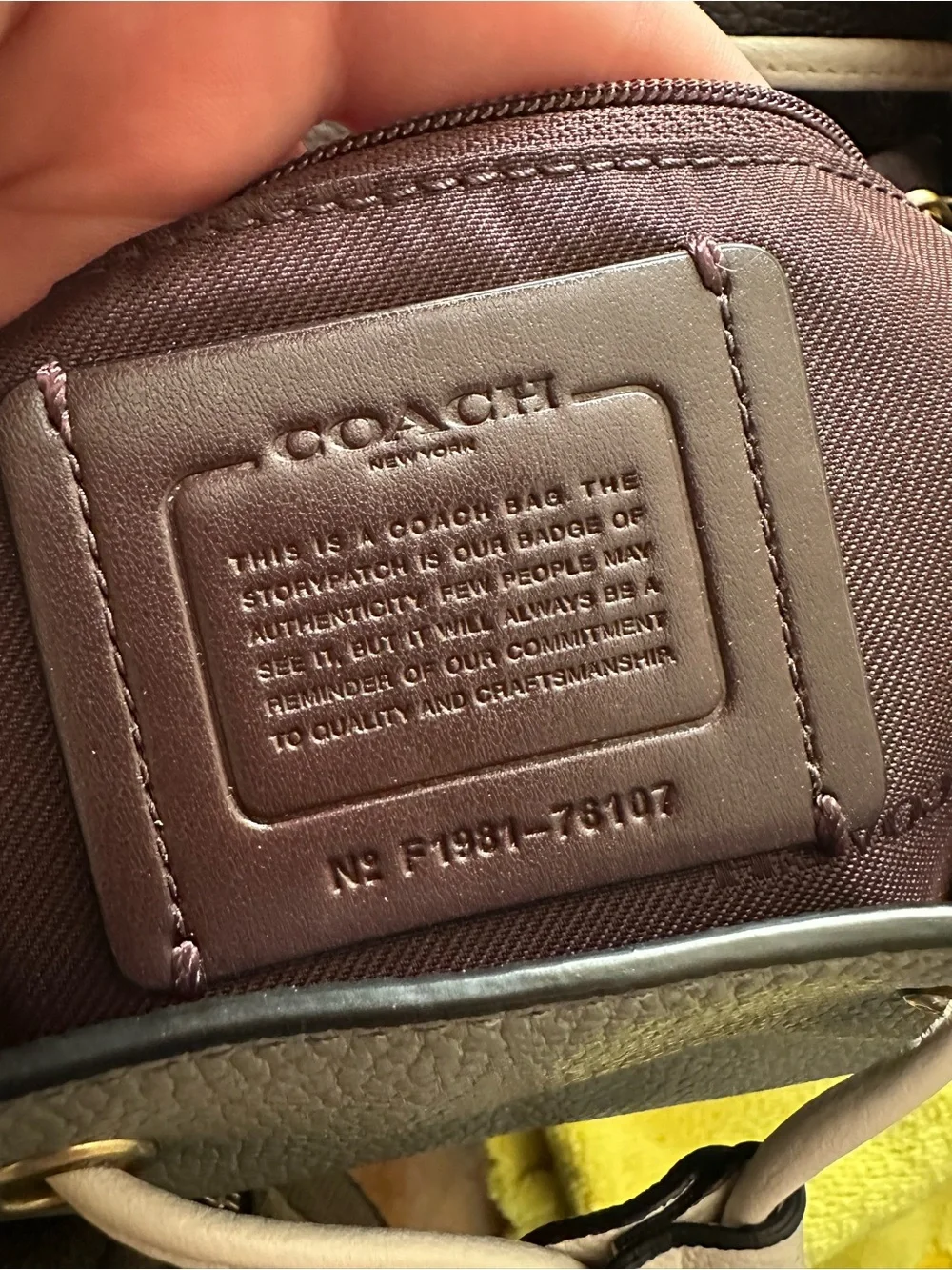 Coach polished pebble