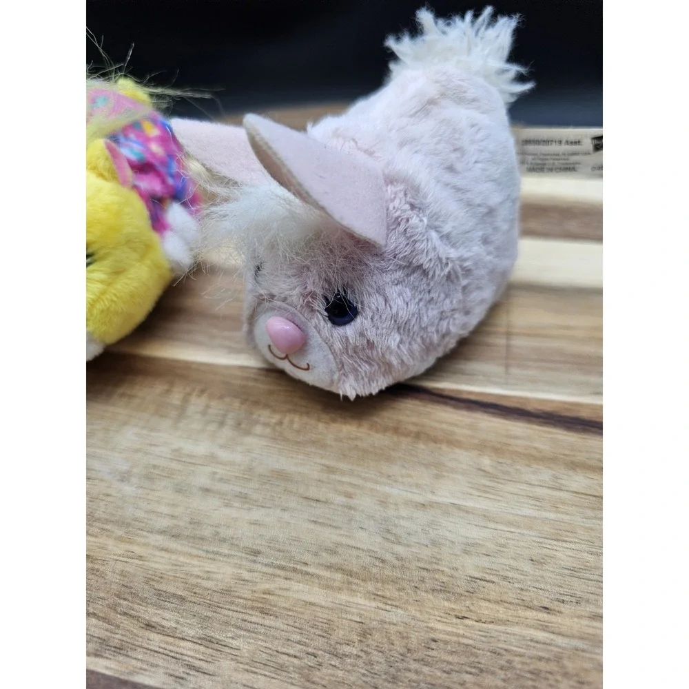 N/A zhu pets