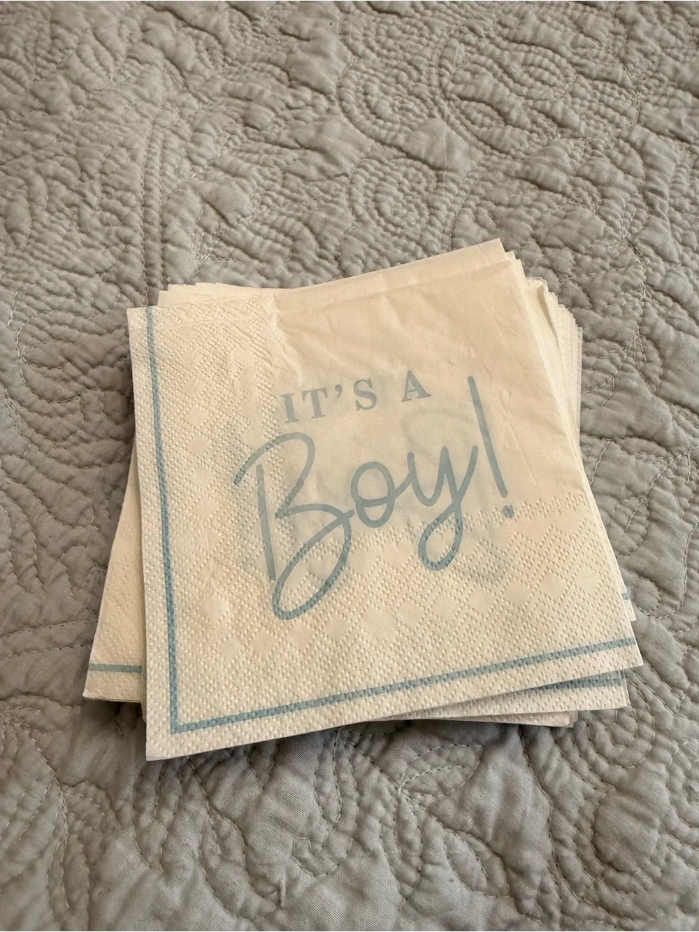 Blue gingham hot air balloon plates and napkins and it’s a boy napkins