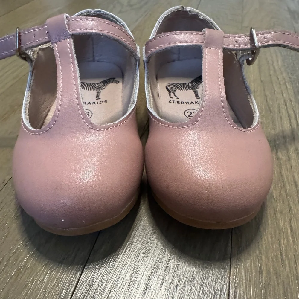 zeebra super cute