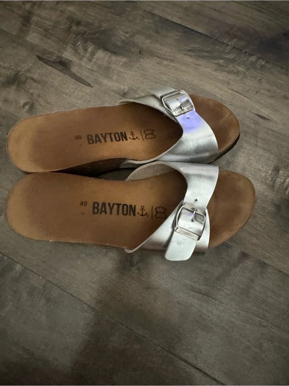 Bayton silver slide
